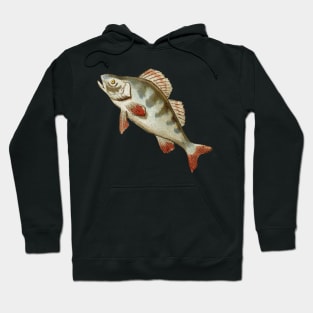 Here Fishy Fishy Hoodie